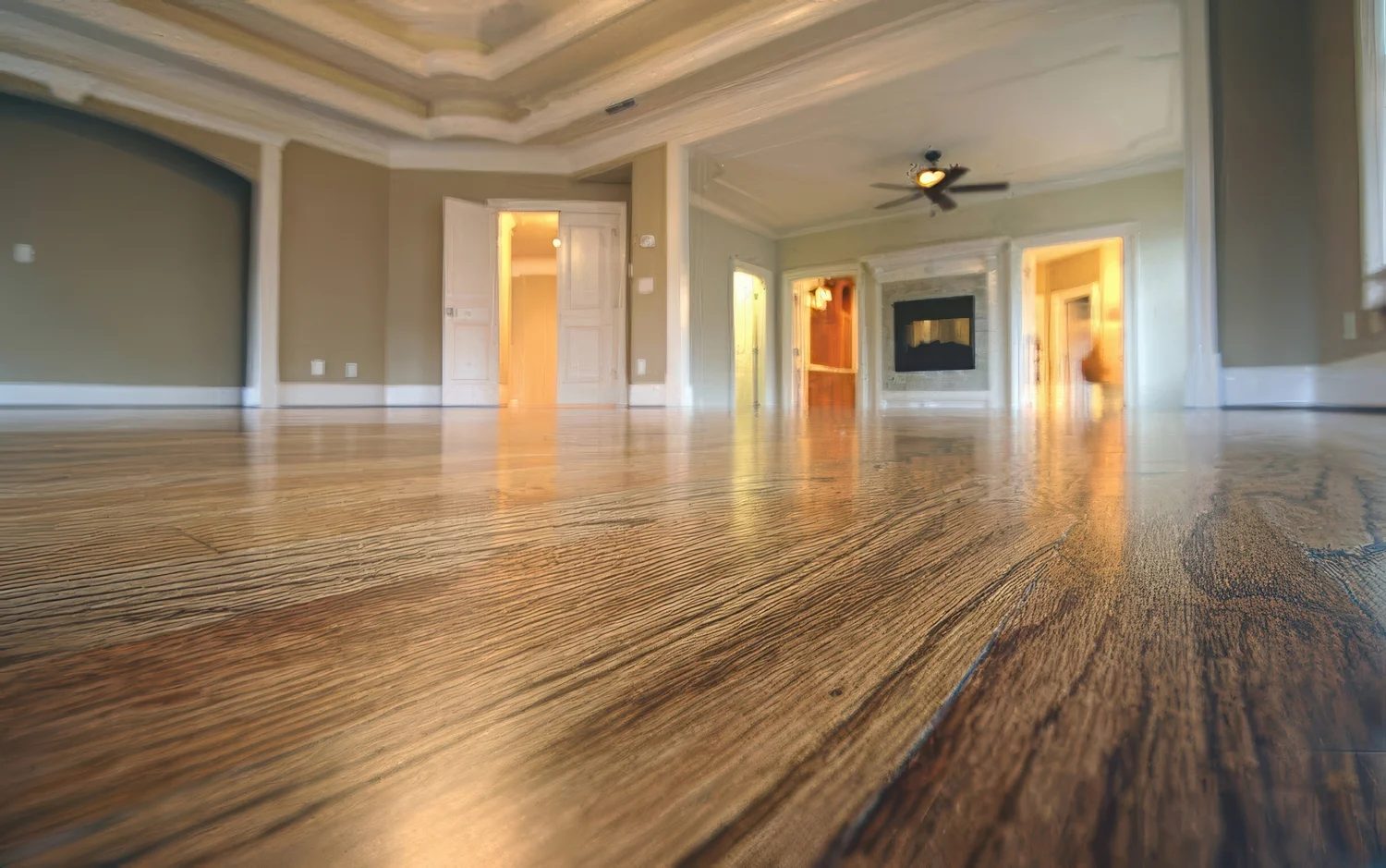 Freshly refinished hardwood floor gleaming in the sunlight