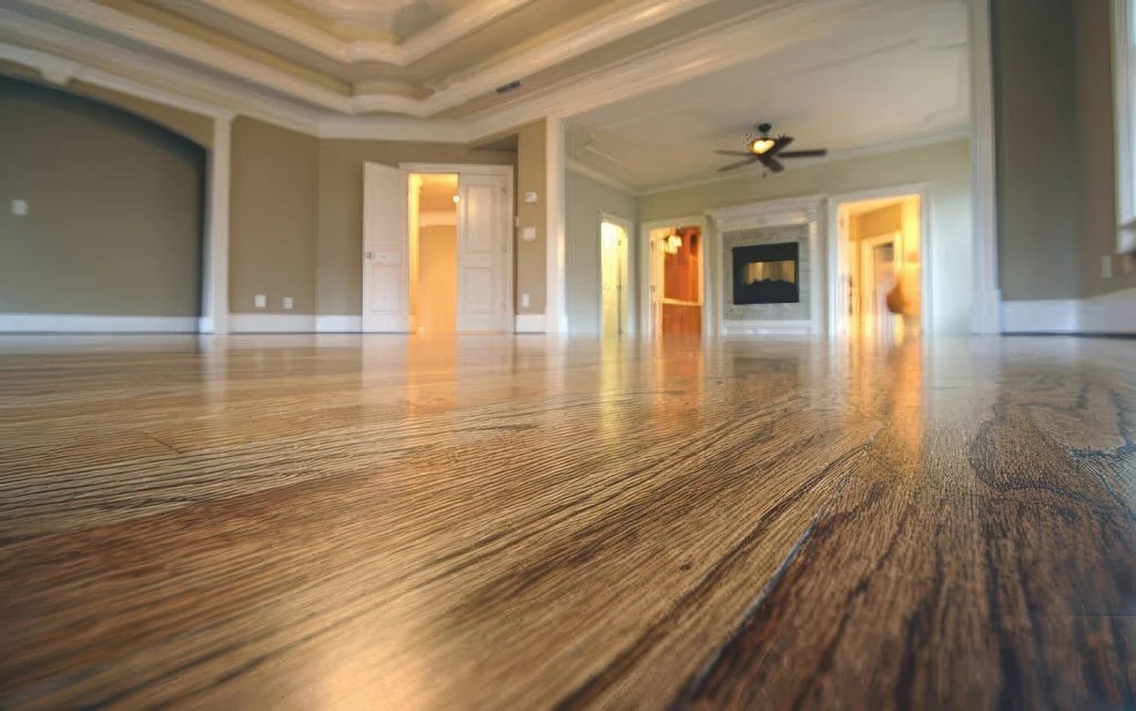 Freshly finished hardwood floor gleaming in afternoon light